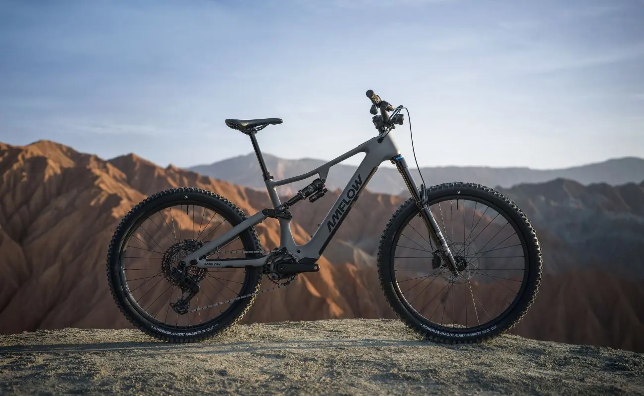 Amflow PR Carbon Pro EMTB - Avinox M2S 800Wh - Image 4