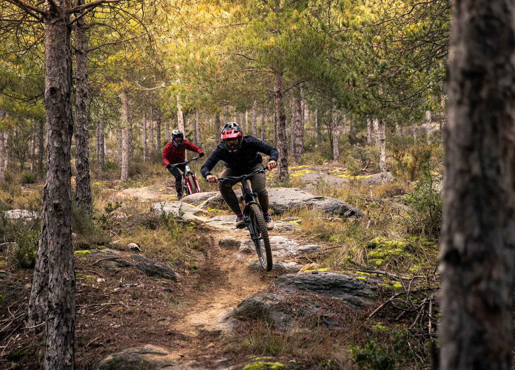Focus Sam2 6.8 eMTB 2026 - Bosch Gen 5 CX, 170mm Fox 38 - Image 5