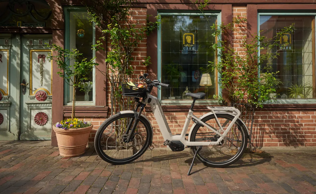 Kalkhoff K26 Image 5+ Advance Wave EBike, Silver - Image 7