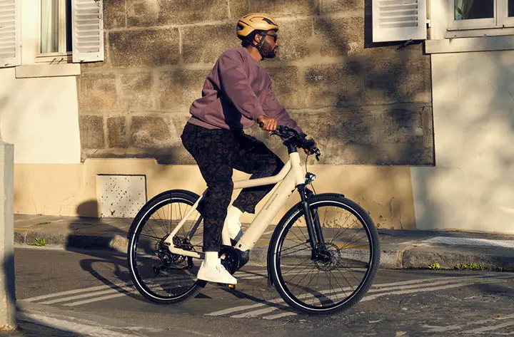 Riese & Muller Culture Touring EBike - Image 8